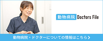 ドクターズ・ファイル